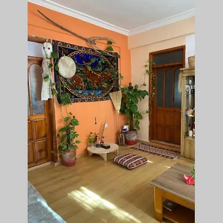 Deniz manzarali sahil kisminda mustakil bahceli1+1 *