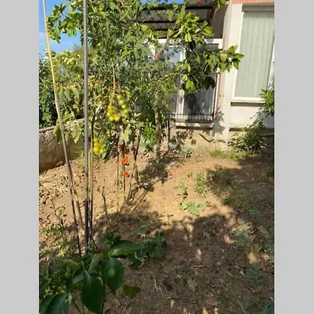 Apartment Deniz Manzarali Sahil Kisminda Mustakil Bahceli1+1